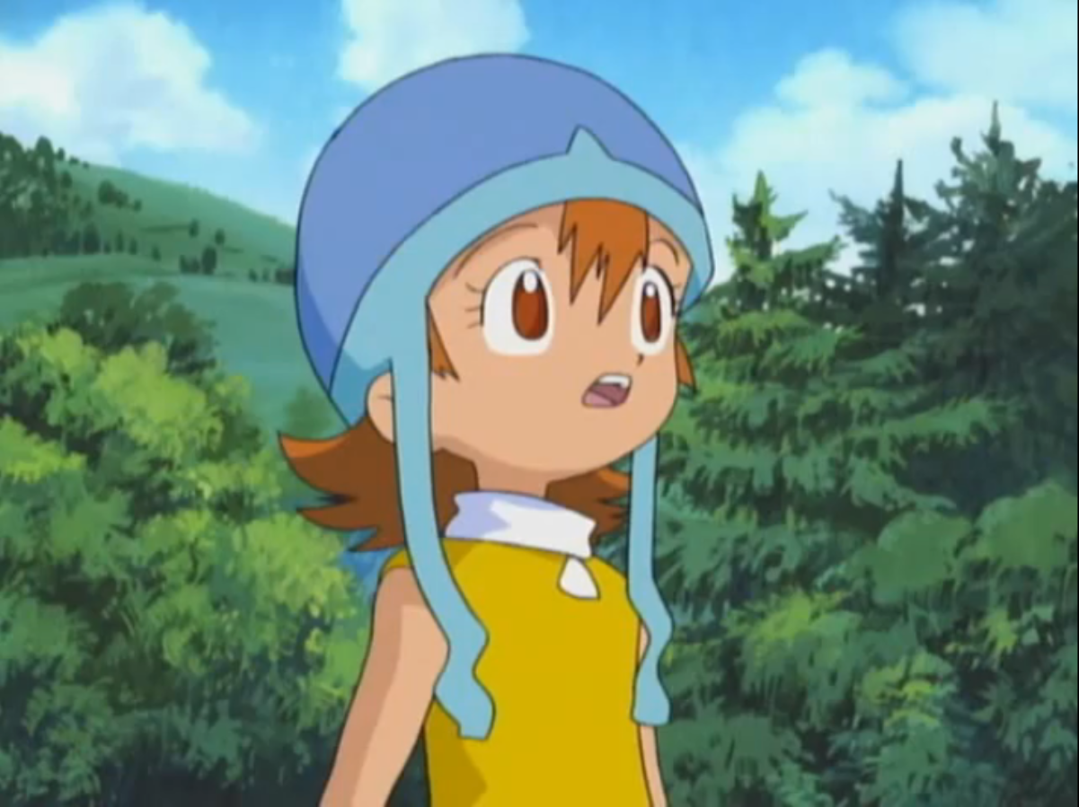 Digimon Sora Takenouchi Digimon Sora Takenouchi